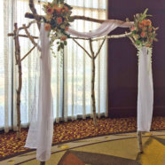 Birch Chuppah